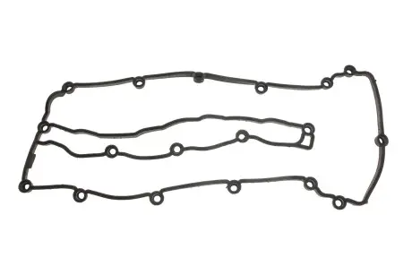 Прокладка клапанной крышки REINZ 71-40438-00