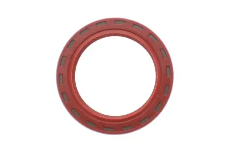 Сальник 35x48x7 REINZ 81-24909-10