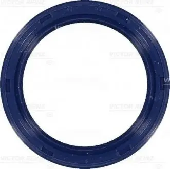 Ущільнююче кільце REINZ 81-53269-00