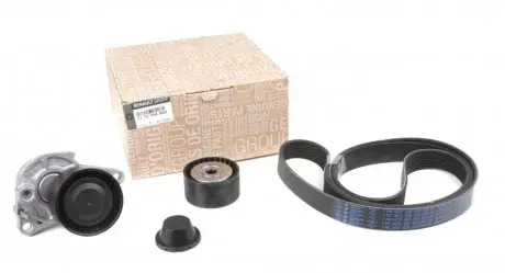 Комплект приводного ремня 1.6 dCi (7PK1675) RENAULT 117209886R