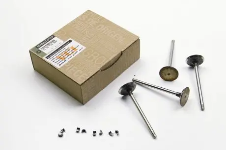 Клапан in, 1.5dci 01- (комплект 4шт) RENAULT 13 20 119 80R