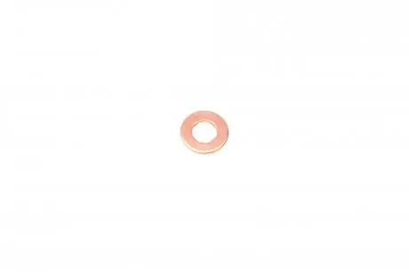 Шайба под ROTWEISS RWS1869