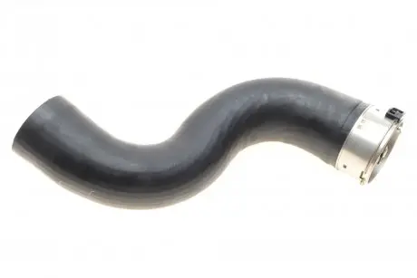 Патрубок интеркулера Renault Megane III/Scenic III 1.9 dCi 08- ROTWEISS RWS2376