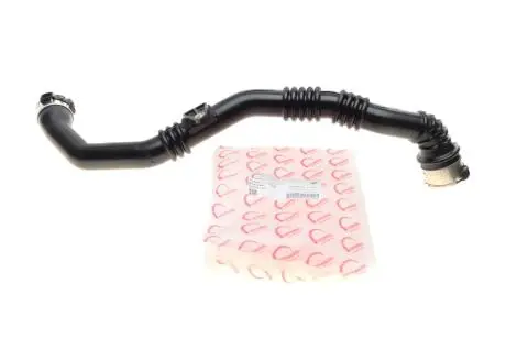 Патрубок интеркулера (L) Dacia Dokker/Renault Clio 1.5dCi ROTWEISS RWS2447