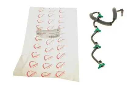 Шланг обратки Citroen Berlingo/Fiat Scudo 1.6HDi 08- ROTWEISS RWS2493