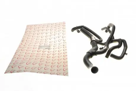 Патрубок радиатора Renault Master 2.3dCi 10- ROTWEISS RWS2587