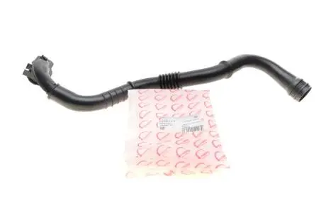 Патрубок интеркулера Renault Megane II/Scenic II 1.5dCi 03- ROTWEISS RWS2701