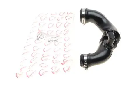 Патрубок фильтра воздушного Renault Kangoo 1.5dCi 05- ROTWEISS RWS2748