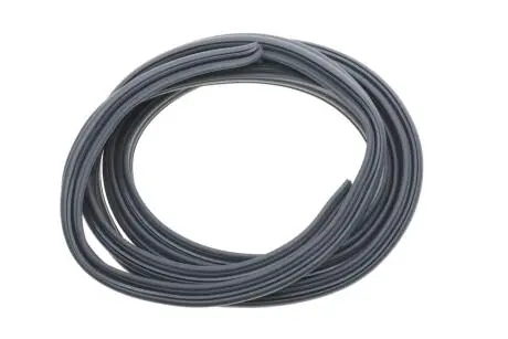 Ущільнювач дверей (задніх) Renault Kangoo 97- ROTWEISS RWS3776