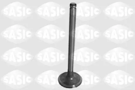 Клапан in, 1.9dci 01- /master 00-01, kangoo 00-03 SASIC 1604001