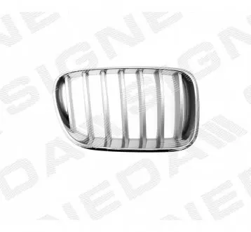 Решетка радиатора Signeda PBM07068GCR