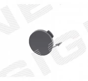 Заглушка гака Signeda PVG99177CA