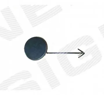 ЗАГЛУШКА КРЮКА Signeda PVW99099CA