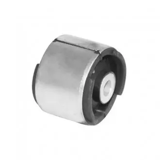 Сайлентблок BMW X3 (E83)/ 3 (E46/E36) "R "93-"10 SKF VKDS 438500