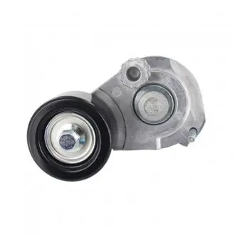 Роликовий модуль натягувача ременя SKF VKM 60016