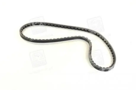 Ремень клиновий SKF VKMV10AVX800