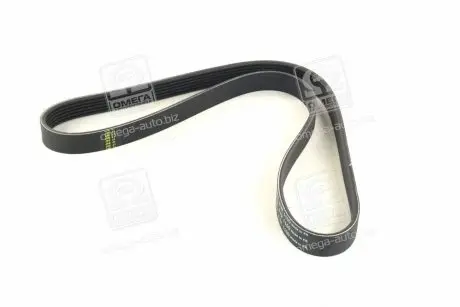 Ремень поликлиновый SKF VKMV6PK1100