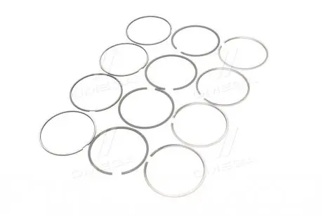 Комплект поршневых колец SM 793851004