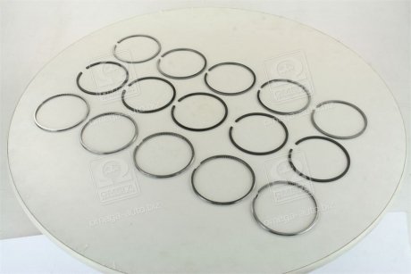 Кольца поршневые vag 5 cyl. 81,00 2,5 x 2,0 x 3,00 mm SM 795041005 (фото 1)