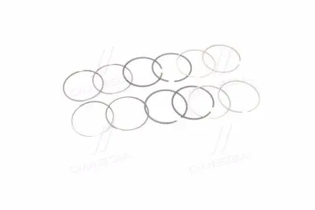 Комплект поршневых колец SM 795059004