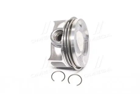 Поршень SM 805055001