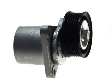 Ролик SNR GA35251