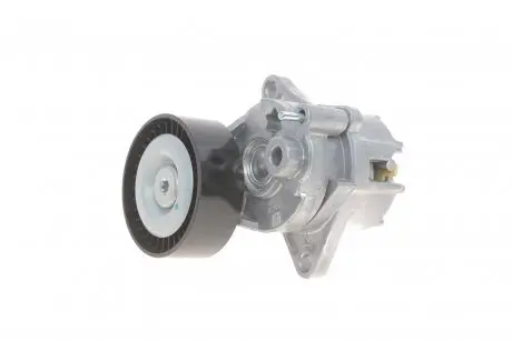 Натяжитель ремня Solgy 110010