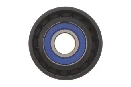 Ролик генератора Renault Trafic/Master 1.9-2.5DI/dTi (паразитний) (60х31) (підшипник PFI) Solgy 110206