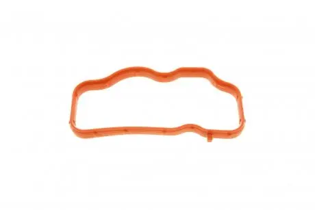 Прокладка колектора впускного Audi A4/A6/Q7/VW Touareg 2.7/3.0TDI 05-11 Solgy 113014