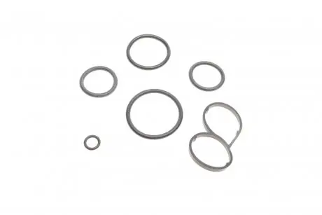 Прокладка радіатора масляного Citroen 1.6HDi 13-15/VW Touareg 4.2 02-06 (К-кт) Solgy 113017