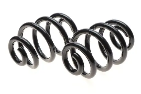 Пружина (задняя) Solgy 212004