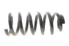 Пружина (передня) Mitsubishi L200 2.5D/DI-D 05-15/Pajero Sport 3.0 4WD 09-14 Solgy 212152 (mr992335, mr992336, mr992345) (фото 1)