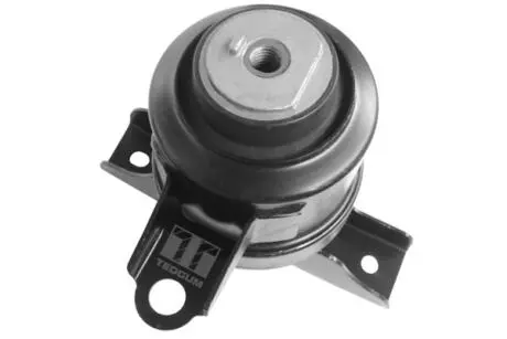 Опора двигуна (права) TEDGUM 00393612