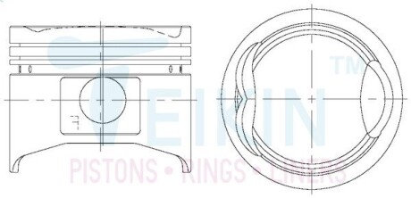 Поршни (комплект) TEIKIN 42171.050