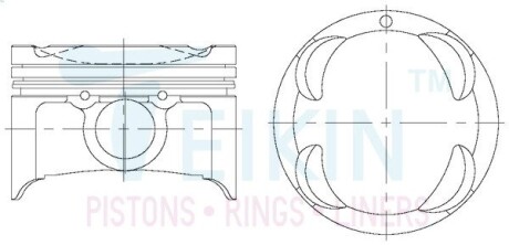 Комплект поршней двигателя Z5 TEIKIN 42173.STD