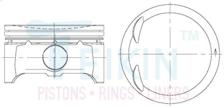 Поршни (комплект) TEIKIN 42209.050