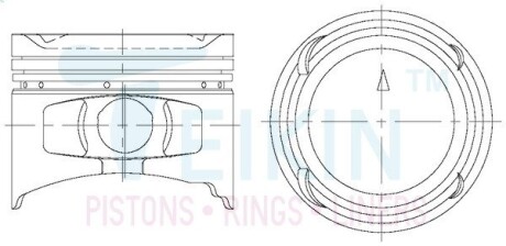 Поршни (комплект) TEIKIN 43234100