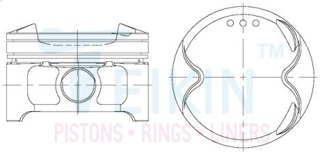 Поршни (комплект без колец) QR25 STD /89/1.2-1.2-2.5/ 05-08г TEIKIN 44343STD