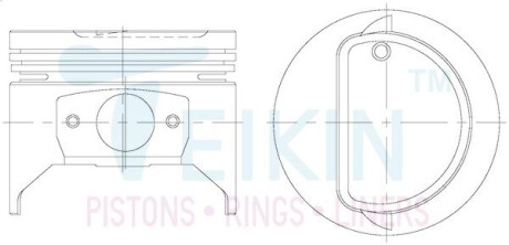 Поршни комплект TEIKIN 46119STD