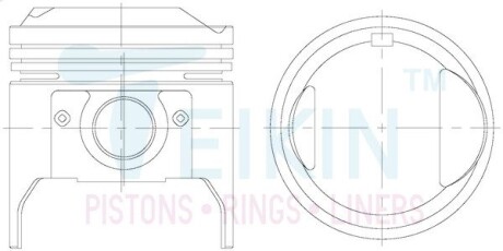 Поршни комплект TEIKIN 46211STD