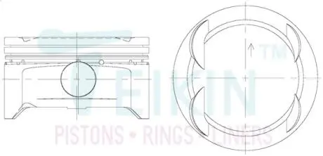 Поршни (комплект) TEIKIN 51613-STD