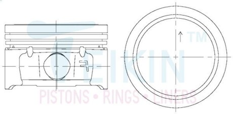 Поршни стандарт (STD) (к-кт на мотор) Peugeot TU5JP4 TEIKIN 67106STD