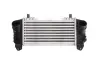 Інтеркулер AUDI A2, A4 B6 1.2D/1.4D/1.8 02.00-10.05 THERMOTEC DAA007TT (038906051B, 03G906051D, 8Z0145805B) (фото 1)