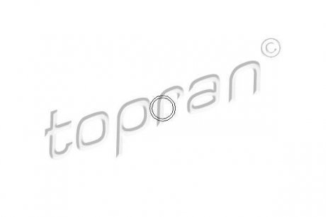 Кiльце ущiльнююче форсунки Topran 100678