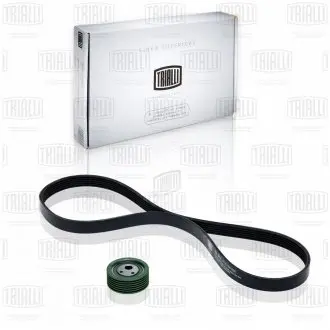 Ремкомплект привода генератора 2110 /2170 (гур) (ремень + 1 ролик) Trialli GD 612