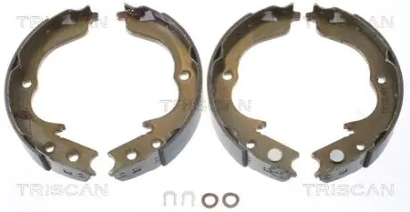 Комплект гальмівних колодок, Стоянкове гальмо TRISCAN 810010029