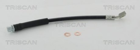 Тормозной шланг TRISCAN 8150 17300 (фото 1)