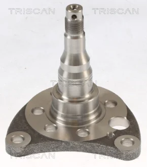 VW Маточина колеса задн. GOLF, JETTA, VENTO 86- TRISCAN 8535 29011