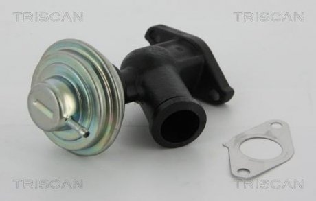 Клапан рециркуляции отработавших газов TRISCAN 8813 10011 (фото 1)