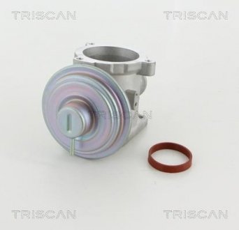 Клапан рецеркуляції відпрацьованих газів TRISCAN 8813 11003